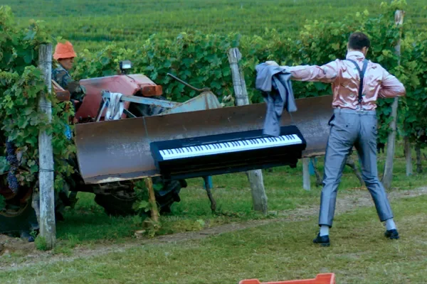 GRAPE MAESTRO (2025), chor.: Oleg Stepanov