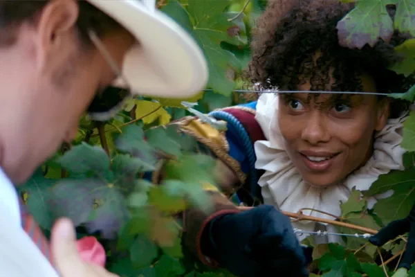 GRAPE MAESTRO (2025), chor.: Oleg Stepanov